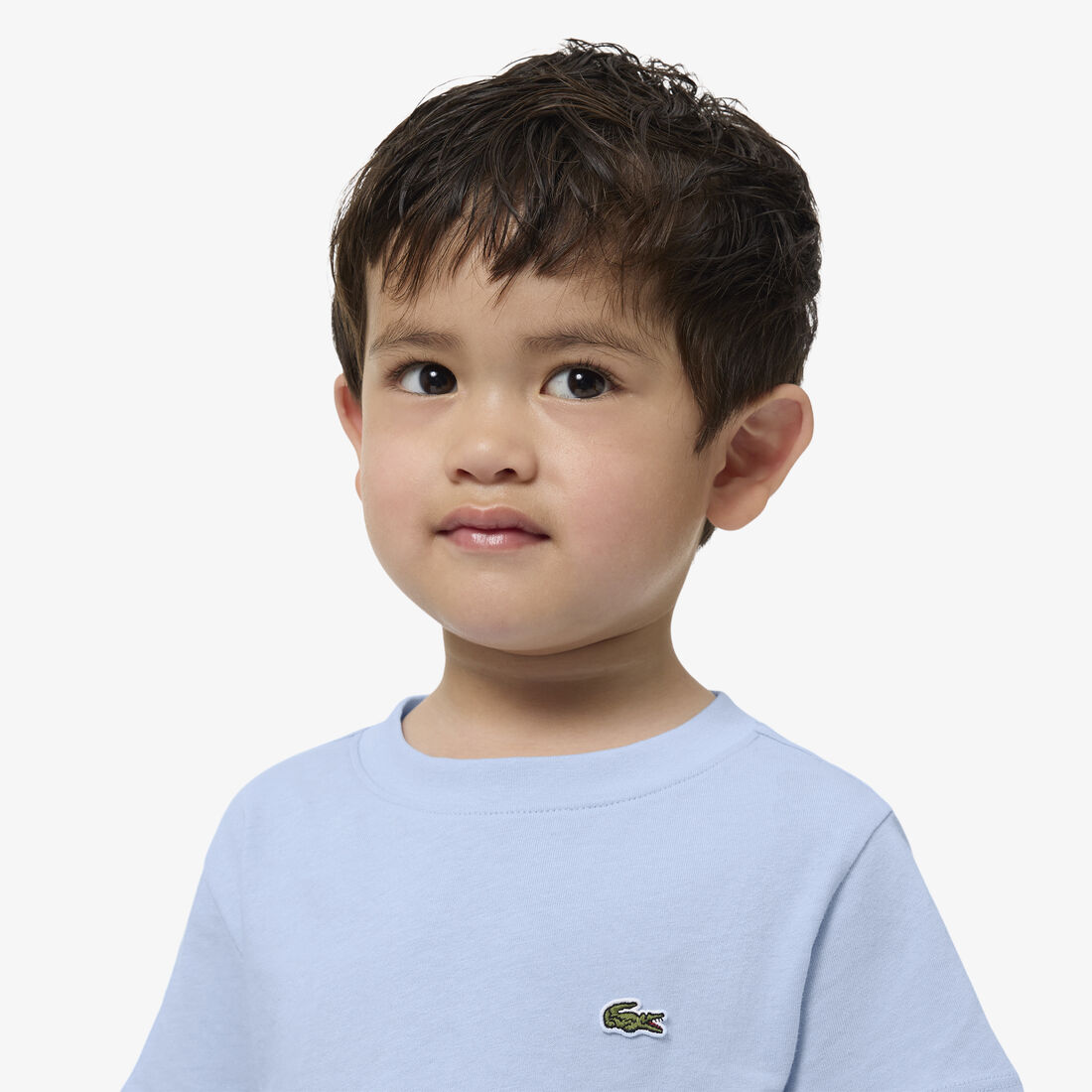 lacoste unisex cotton crew neck t shirt