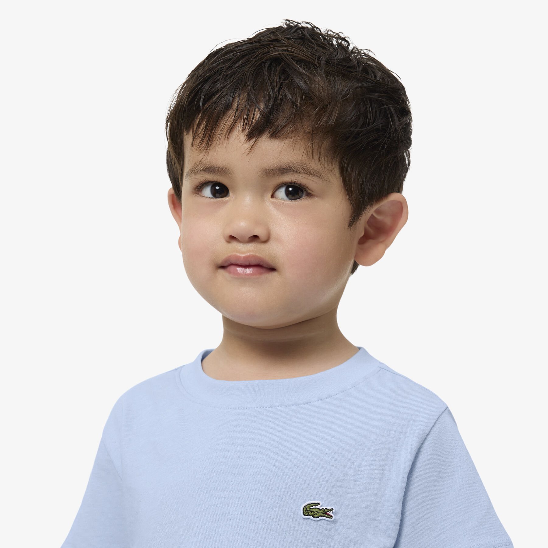 lacoste unisex cotton crew neck t shirt