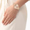 lacoste women moonball watch