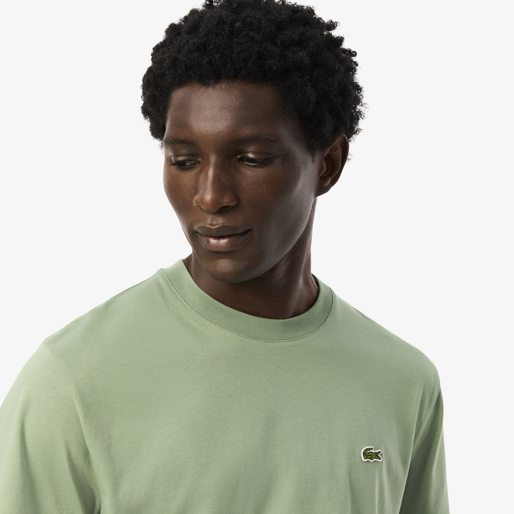 Cotton T-shirt - TH7318-00-S86