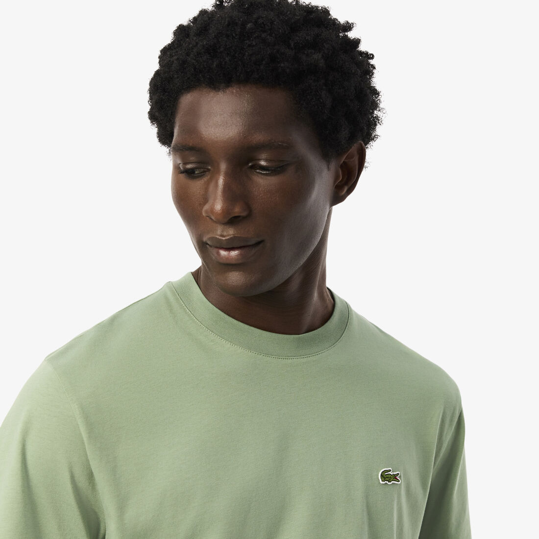 Cotton T-shirt Cotton T-shirt - TH7318-00-S86