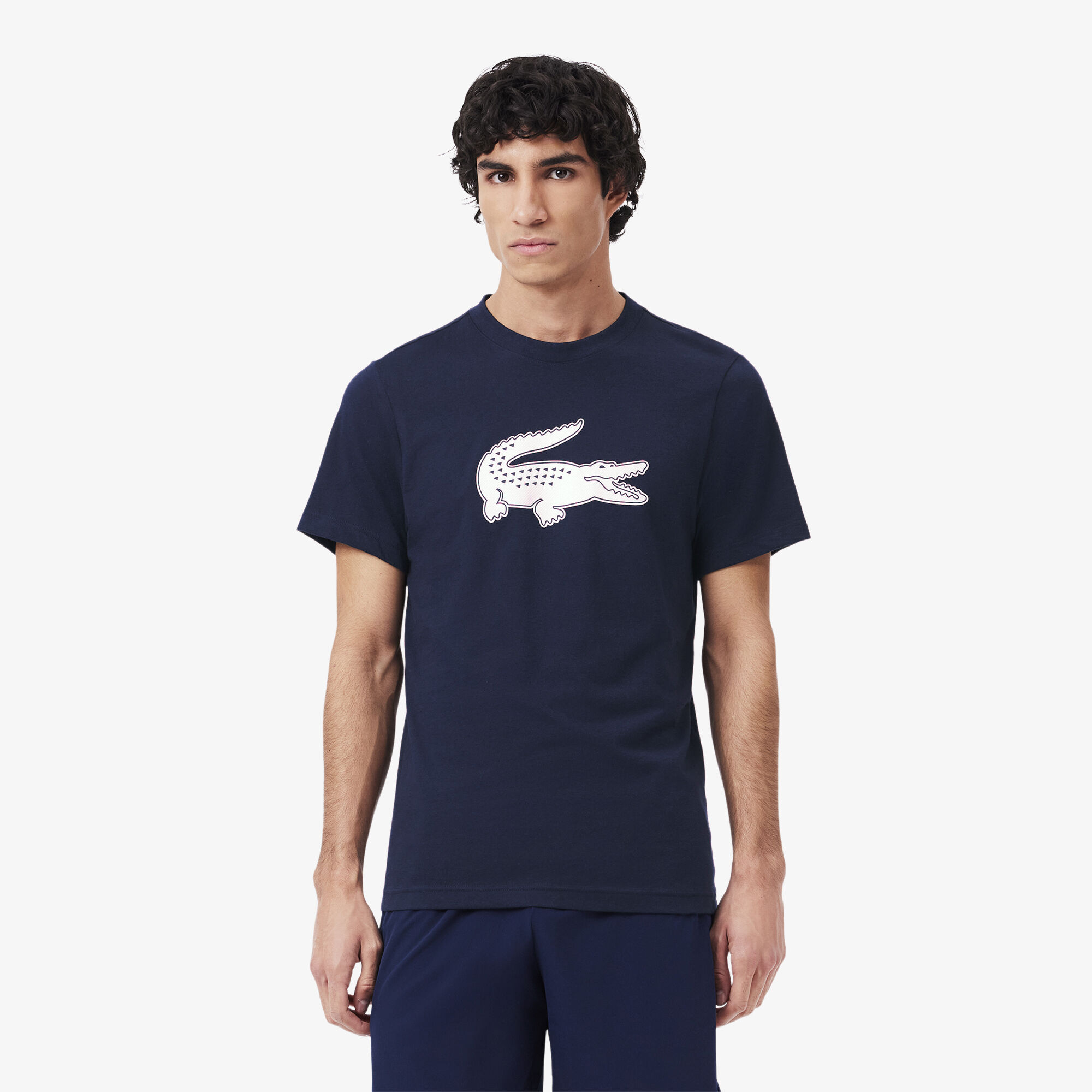 lacoste tshirts