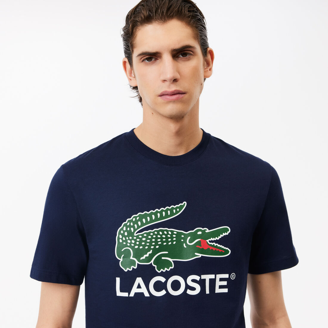 تي شيرت جيرسيه بقصّة عادية مقسم بألوان Cotton Jersey Signature Print T-shirt - TH1285-00-166