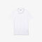 قميص بولو بأنماط مونوغرام وقصة ضيقة مجموعة Lacoste LIVE للنساء