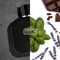 L1212 Noir Edt 100 Ml L1212 Noir Edt 100 Ml - LC005A01-000