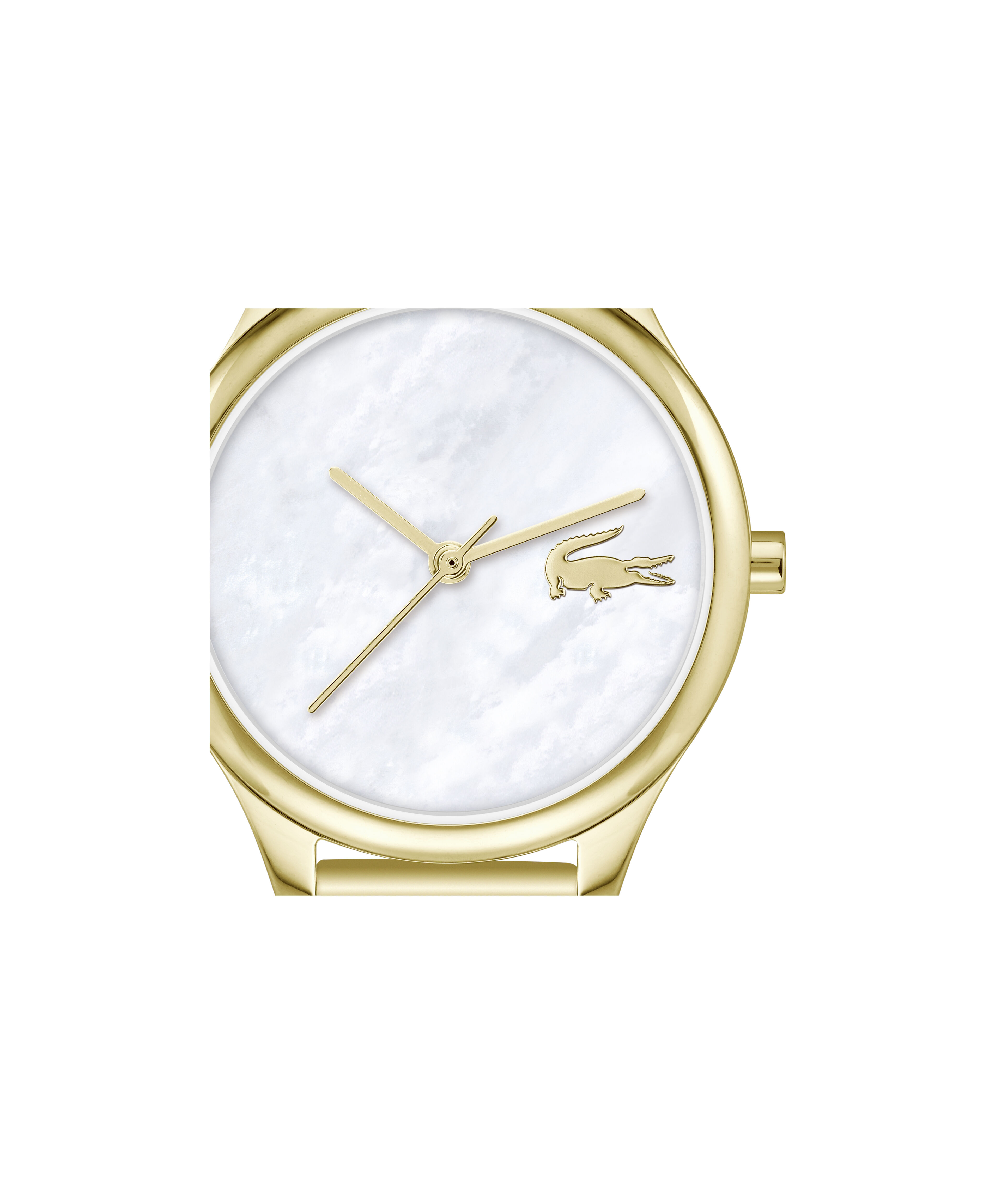 Thin Gold-plated Steel Women's Watch