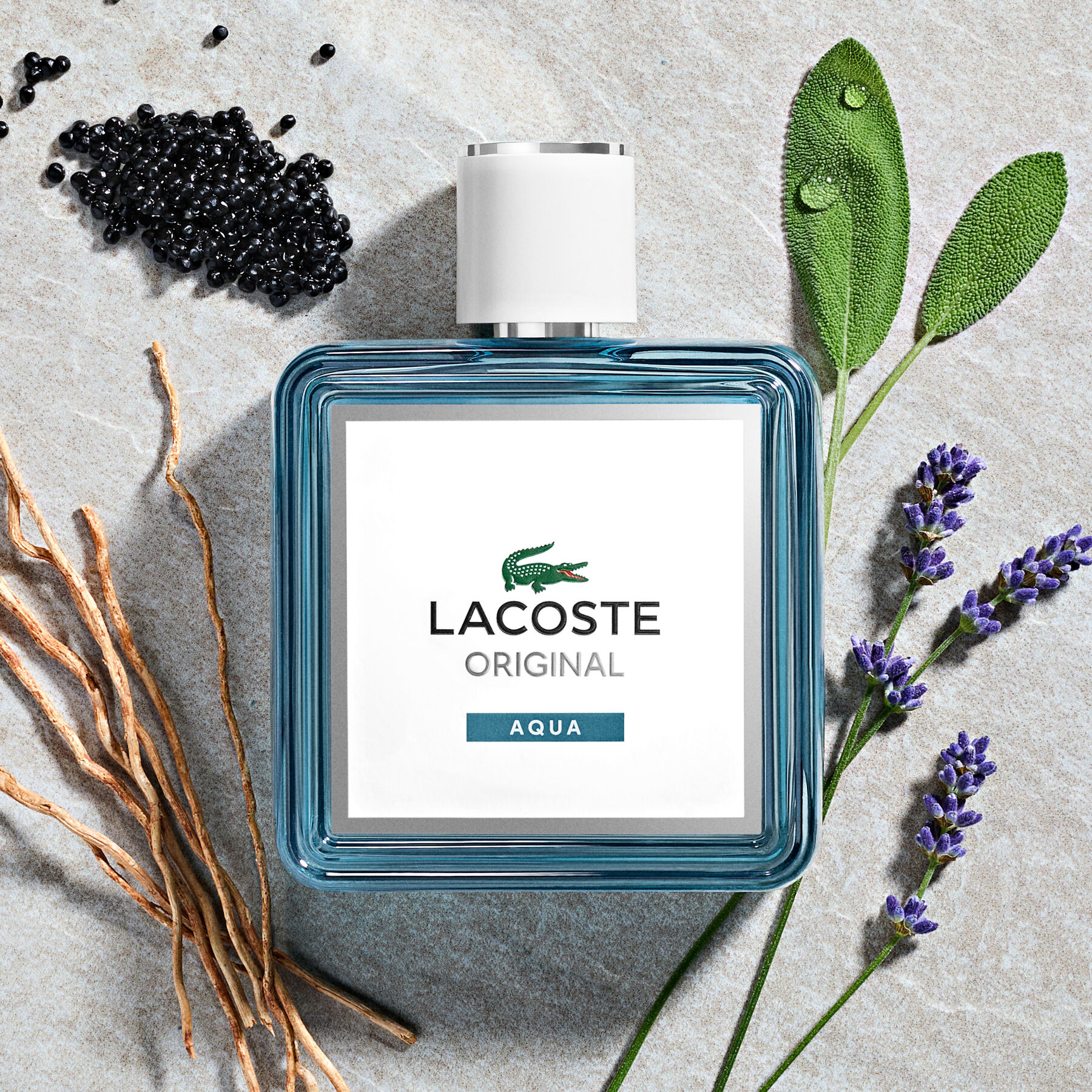 عطر أكوا أو دو بارفان للرجال 100 مل لاكوست عطر أكوا أو دو بارفان للرجال 100 مل