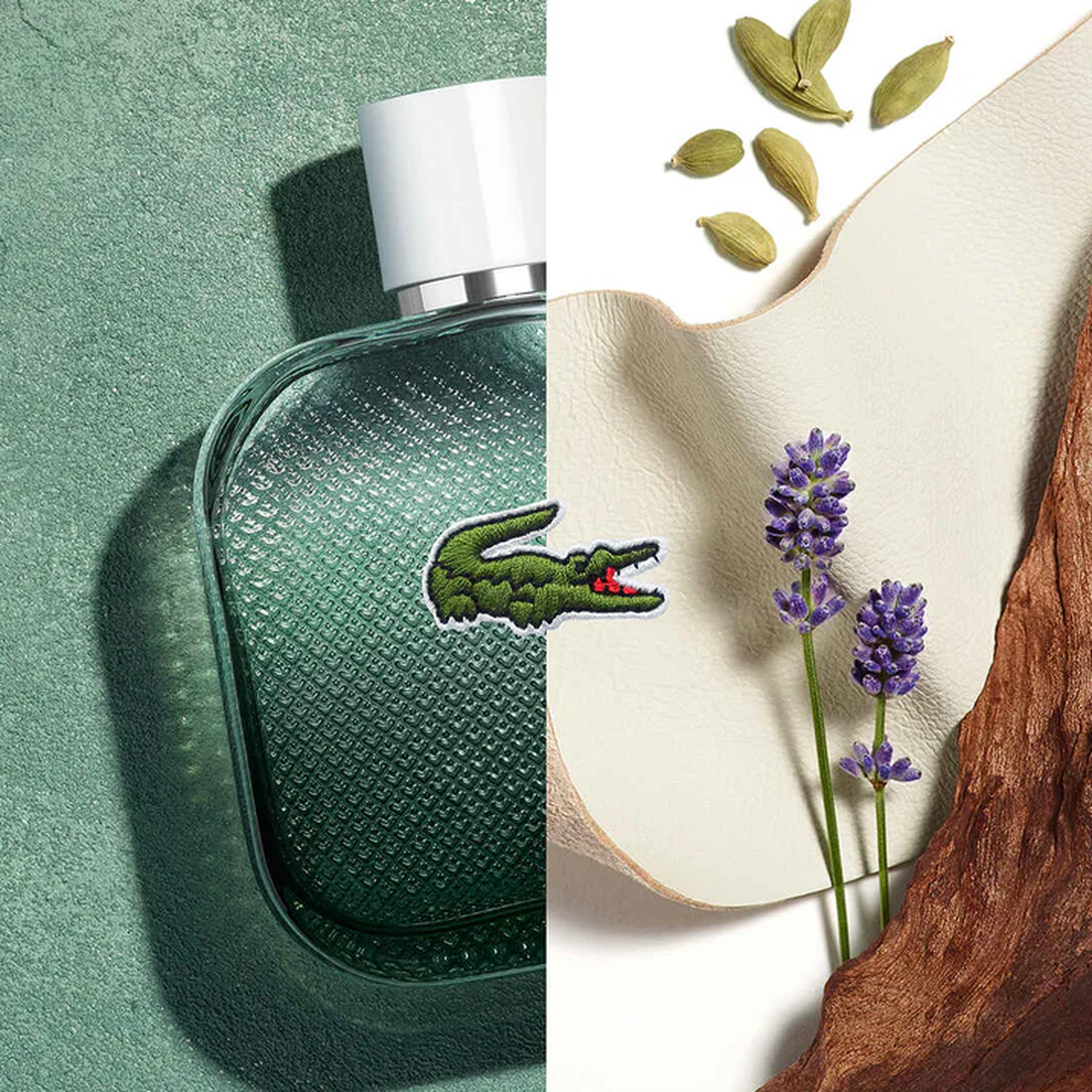 L.12.12 Blanc Eau Intense Perfume for Men EDT 50ML Lacoste Men L.12.12 Blanc Edt Intense 50ml - 99350153801-000