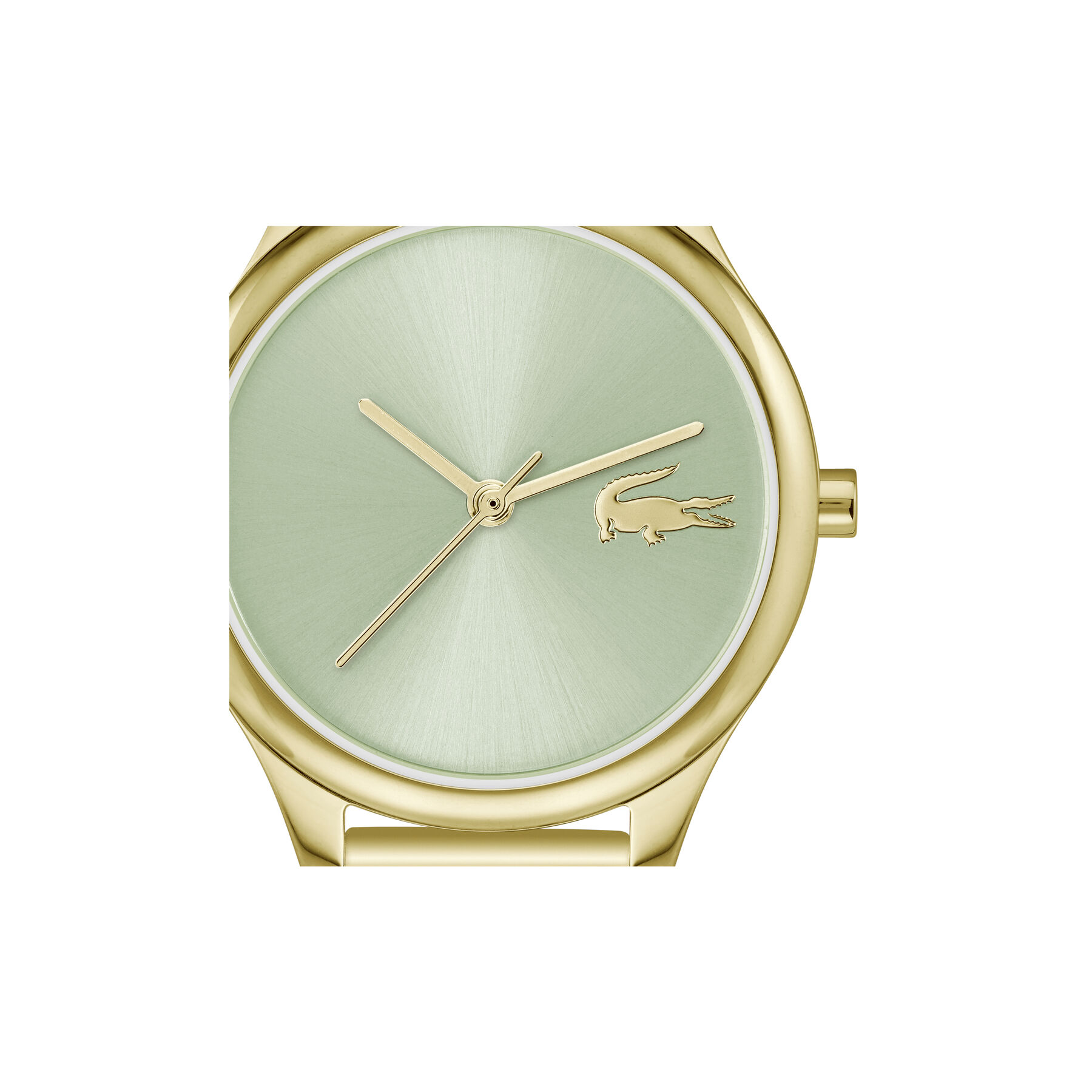 Thin Gold-Plated Steel Women's Watch - 2001502-GOLD