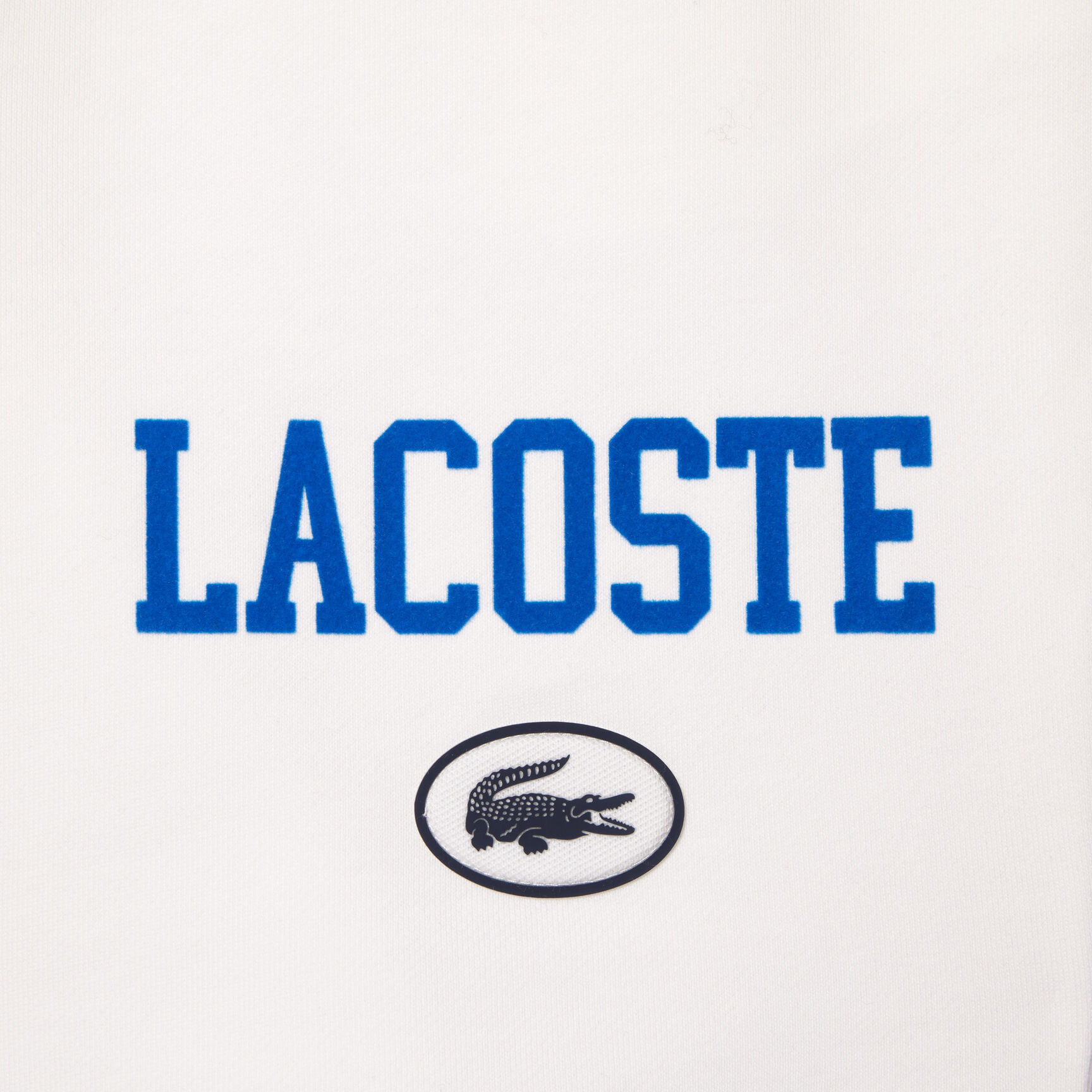 Regular Fit Lacoste Print Jogger Shorts Regular Fit Lacoste Print Jogger Shorts - GH7499-00-70V