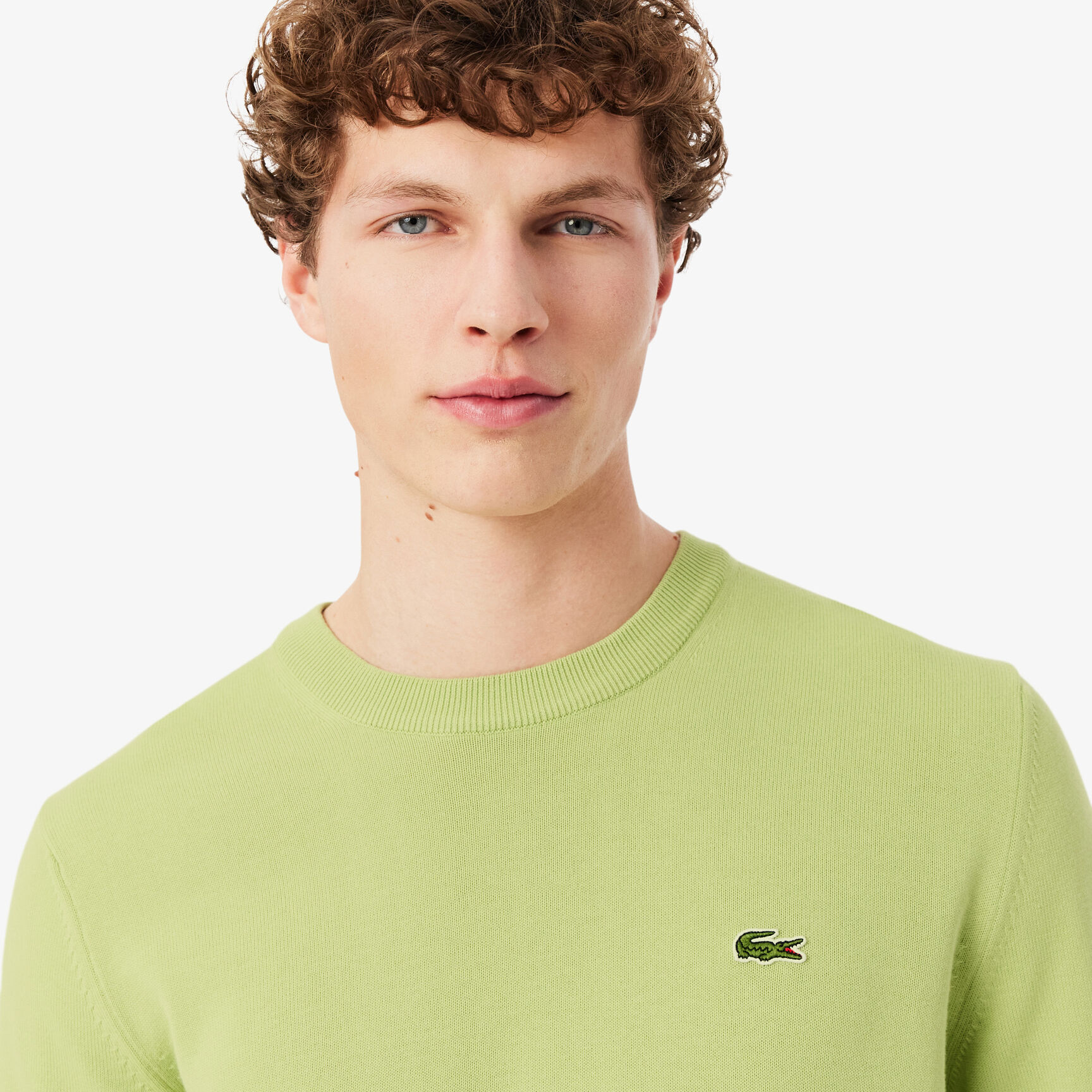 Monochrome Crew Neck Cotton Sweater  - AH1985-00-UYB