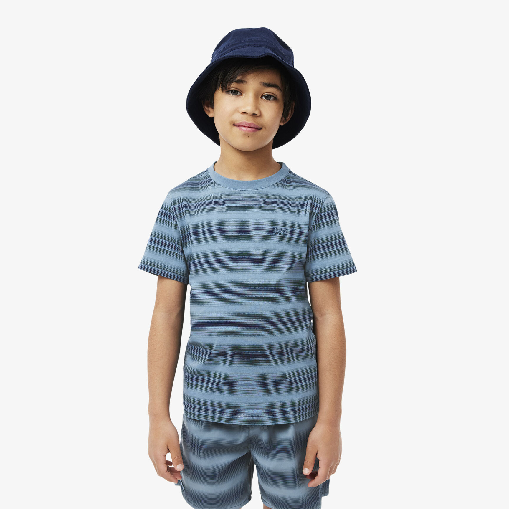 Striped Print Cotton T-shirt - TJ2362-00-GAI