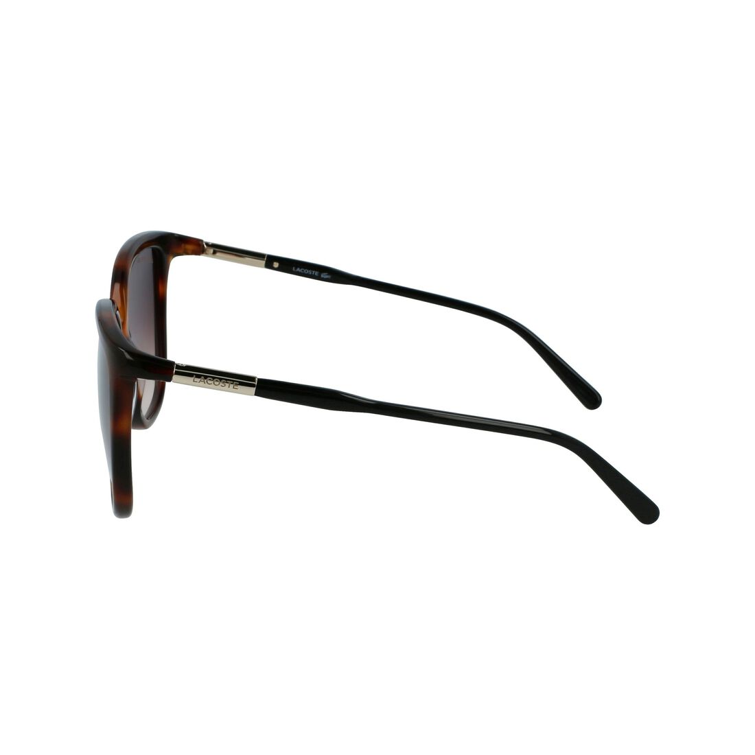 Women’s Tubular Temple Butterfly Acetate Sunglasses Women’s Tubular Temple Butterfly Acetate Sunglasses