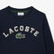Printed Fleece Sweatshirt  - SJ0929-00-166