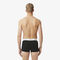 lacoste 3 pack stretch cotton trunks