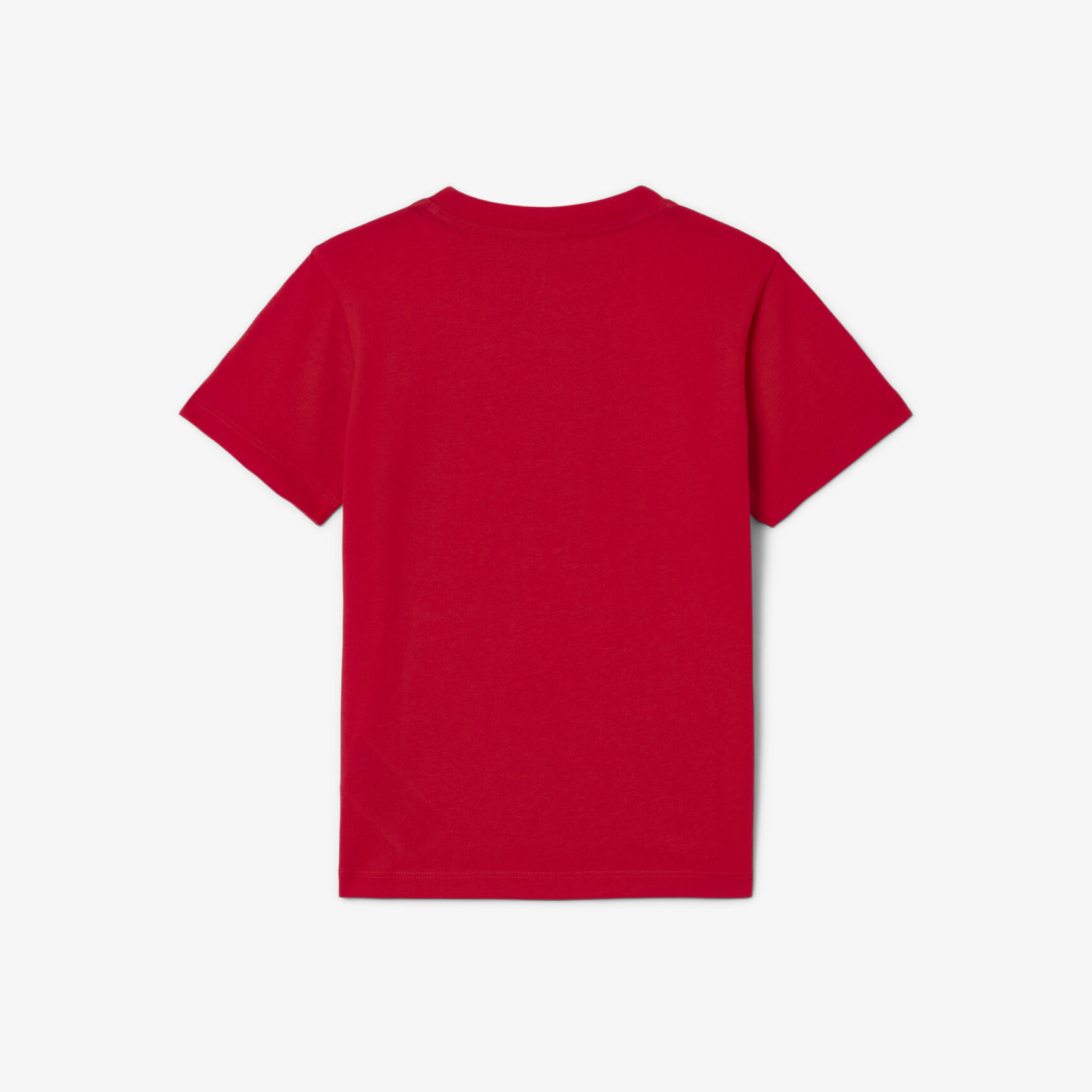 Cotton T-shirt - TJ0826-00-240