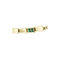 Crocodelle Women's Watch - 2040582-GLD