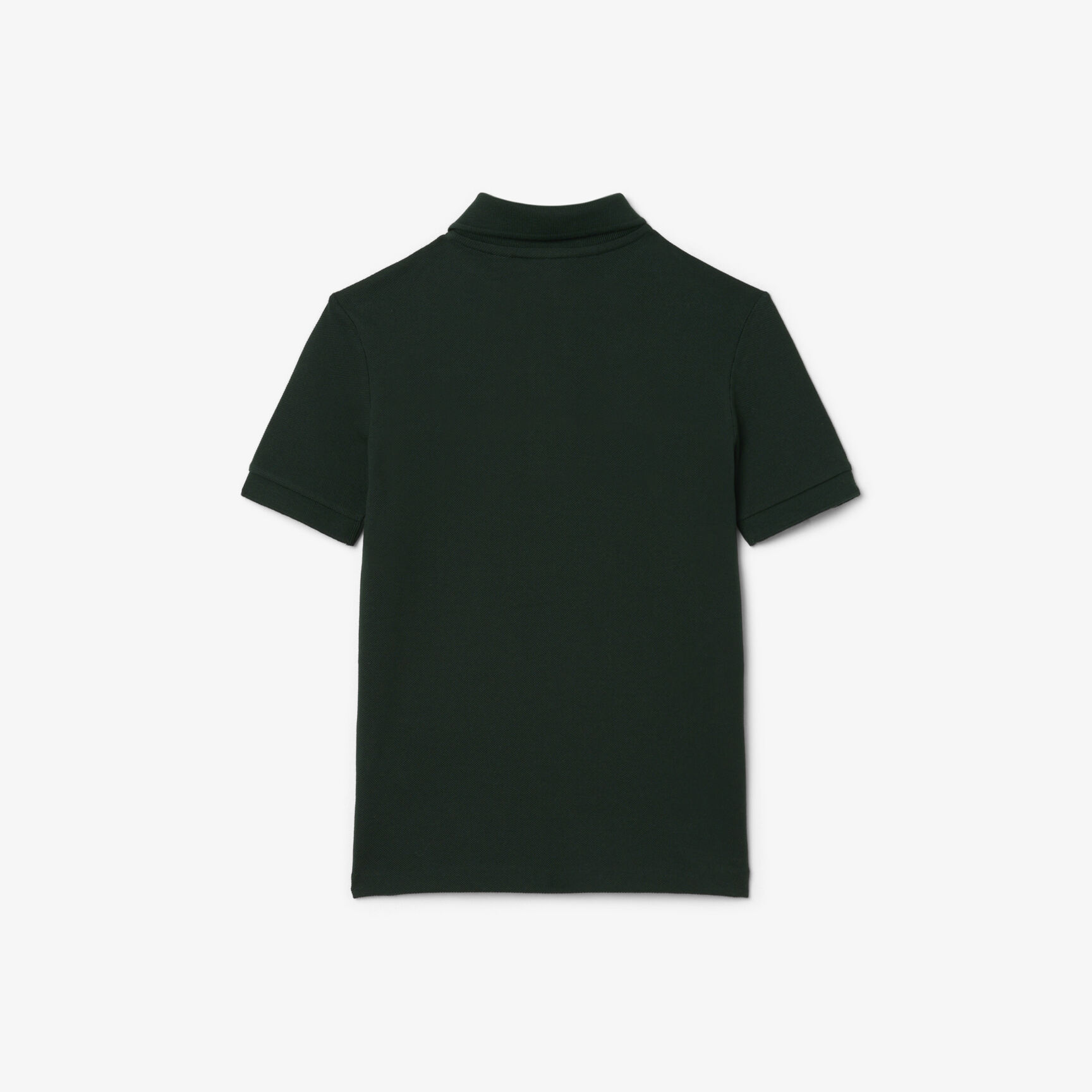 Contrast Band Petit Pique Polo Shirt - PJ1144-00-YZP