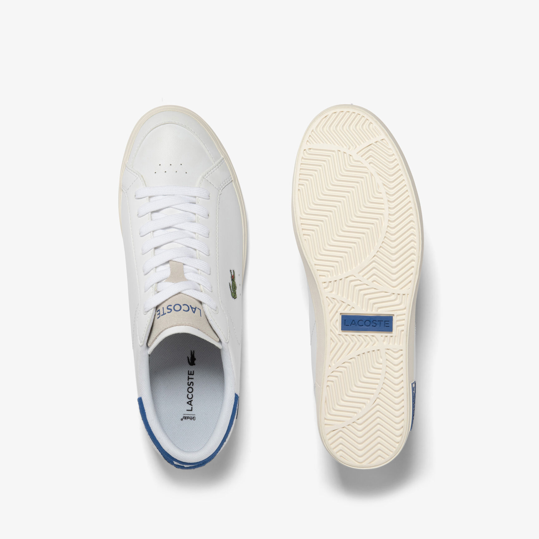 mens lacoste trainers sale