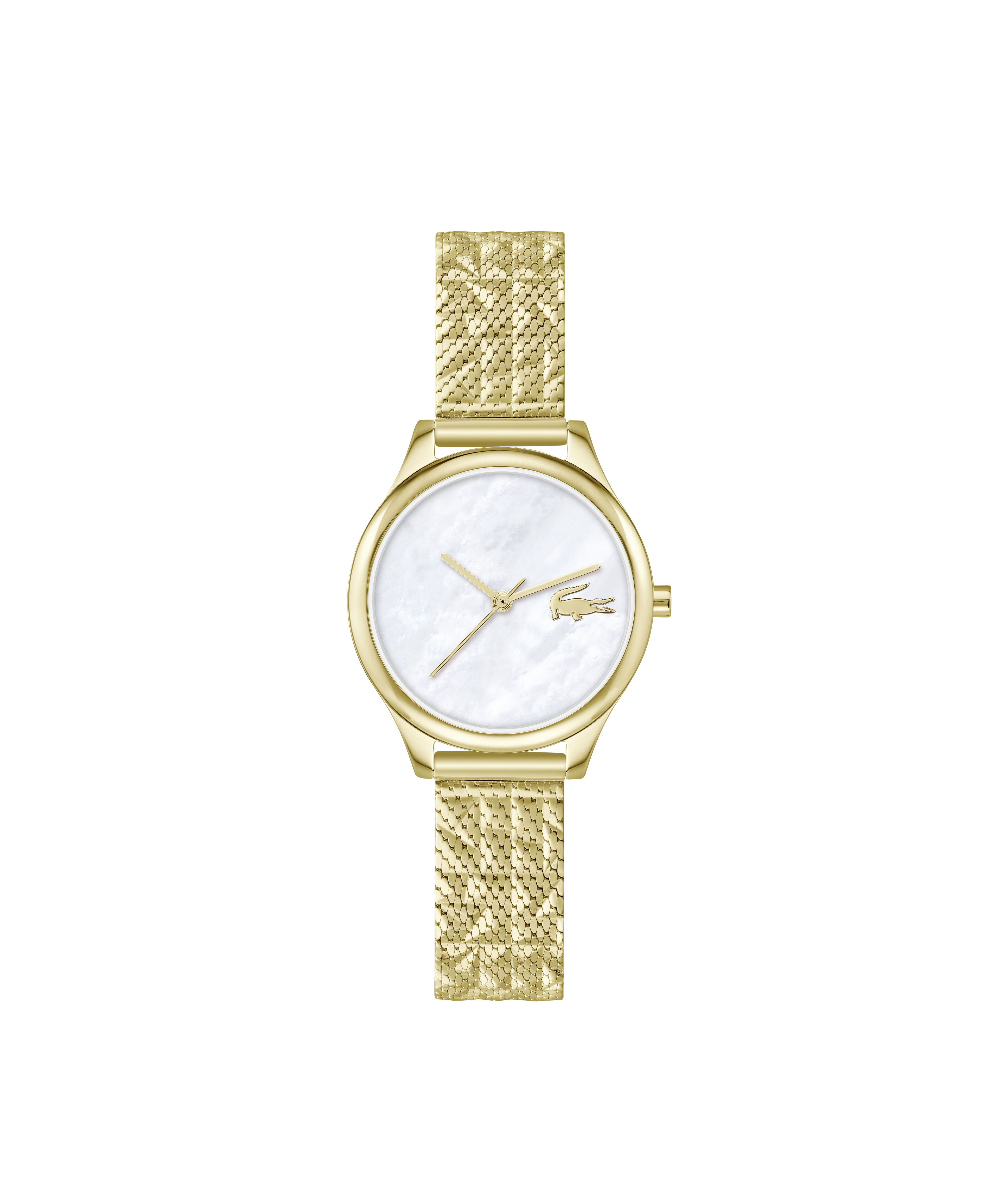 Thin Gold-plated Steel Women's Watch