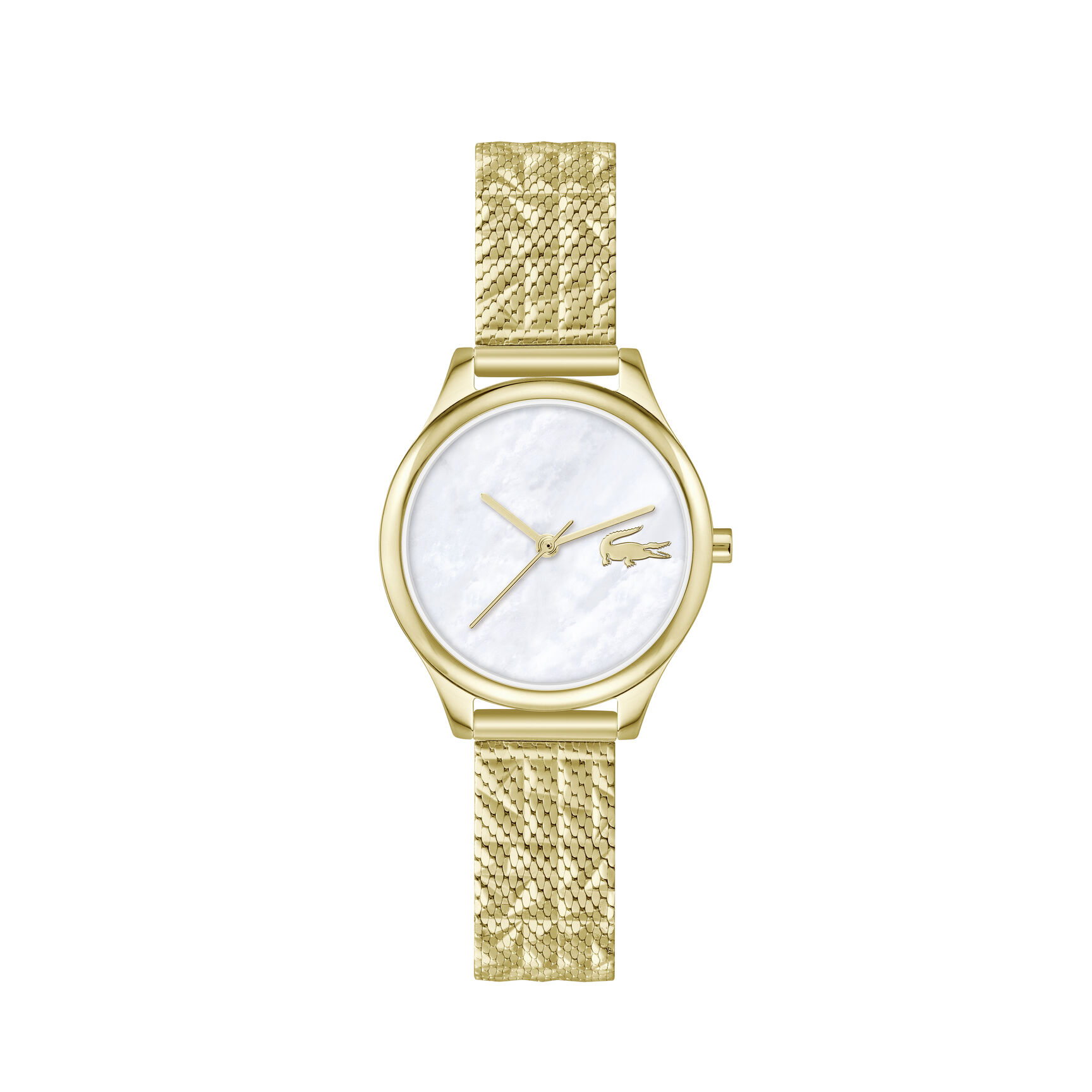 ساعة ستيل مطلية بالذهب بتصميم نحيف للسيدات Thin Gold-Plated Steel Women's Watch - 2001500-GOLD