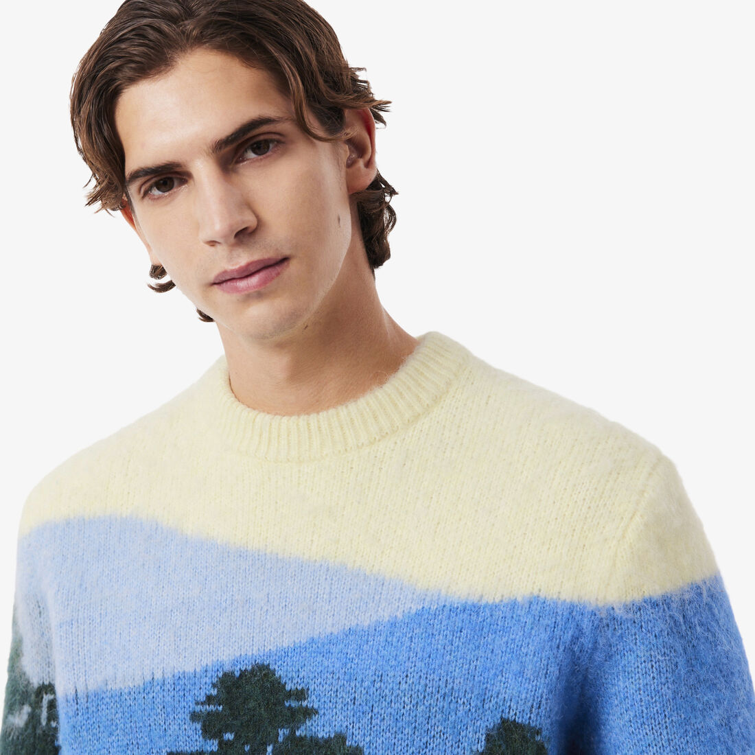 Landscape Jacquard Alpaca Wool Sweater Landscape Jacquard Alpaca Wool Sweater - AH5945-00-9IK