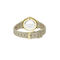 Women's Crocogin watch lacoste women s crocogin watch