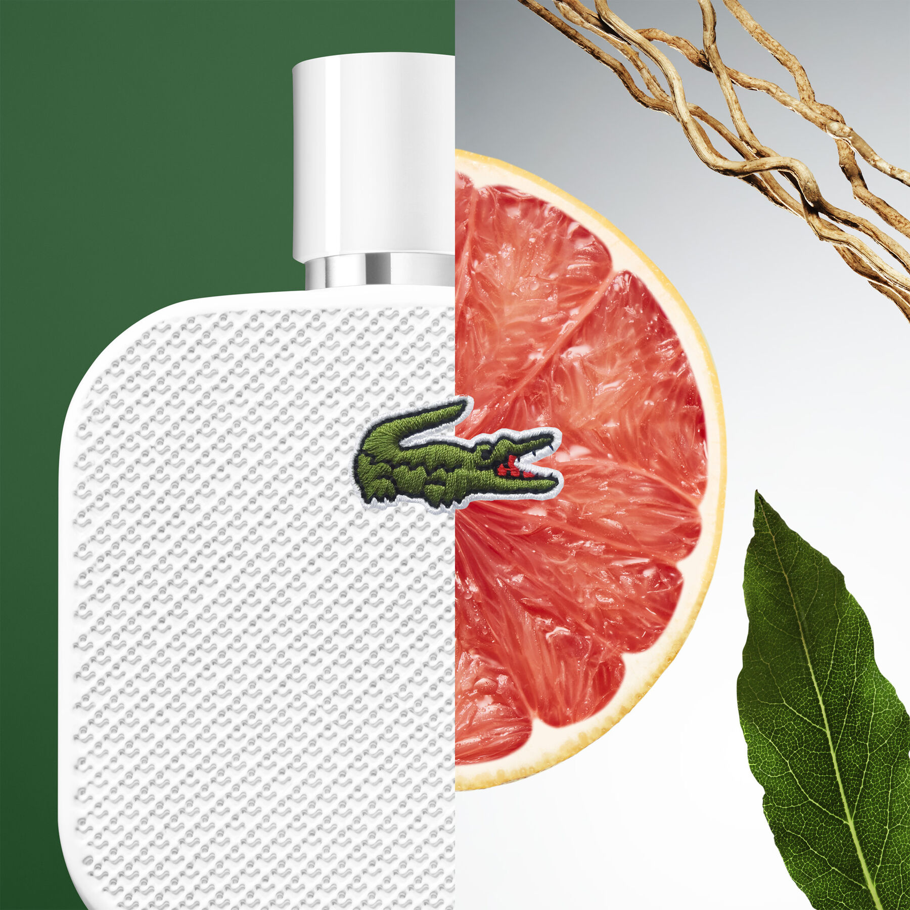 L1212 Blanc Edt 100ml L1212 Blanc Edt 100ml - LC001A01-000