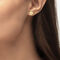 Stud Earrings lacoste stud earrings