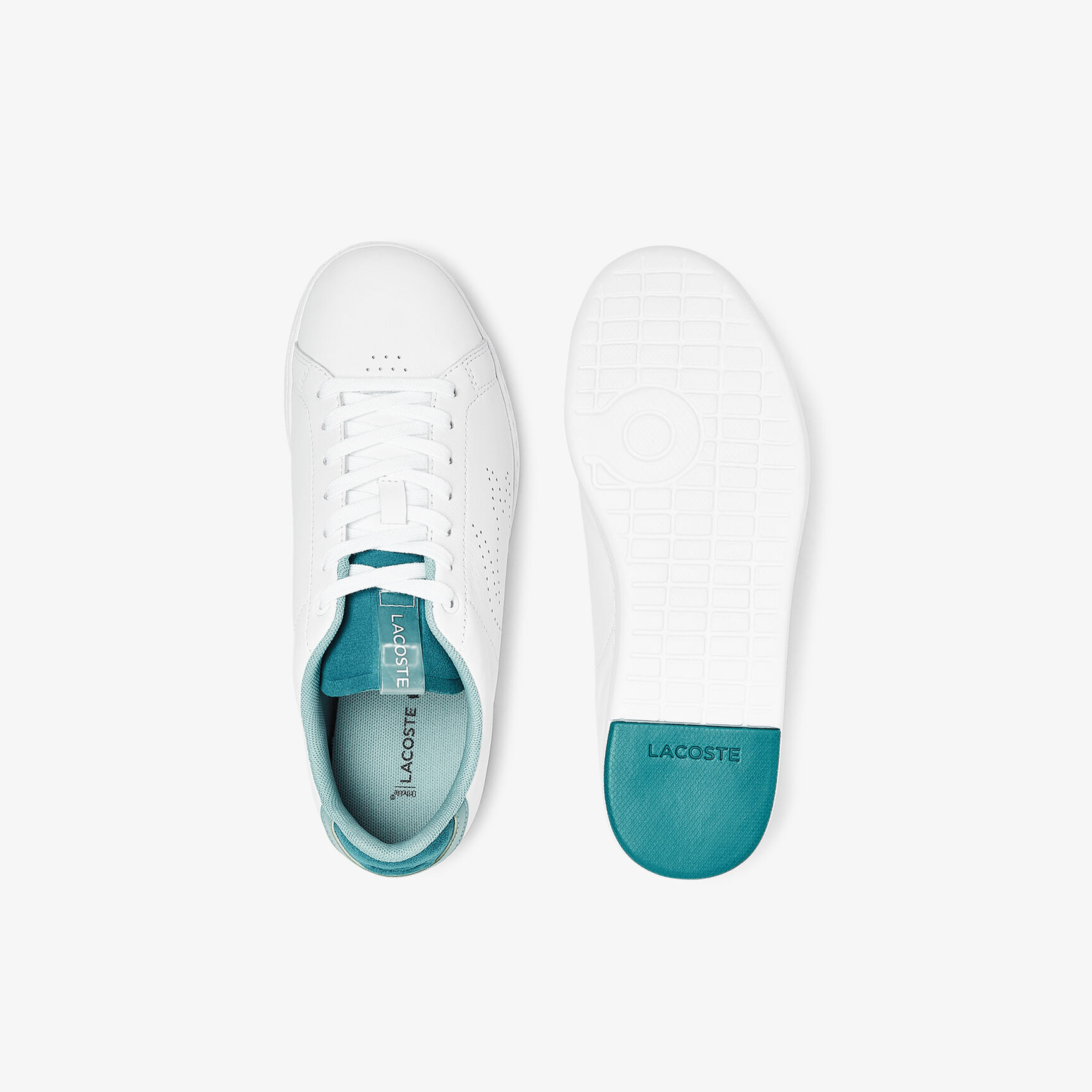 Women's Carnaby Evo LT-WT Leather Sneakers