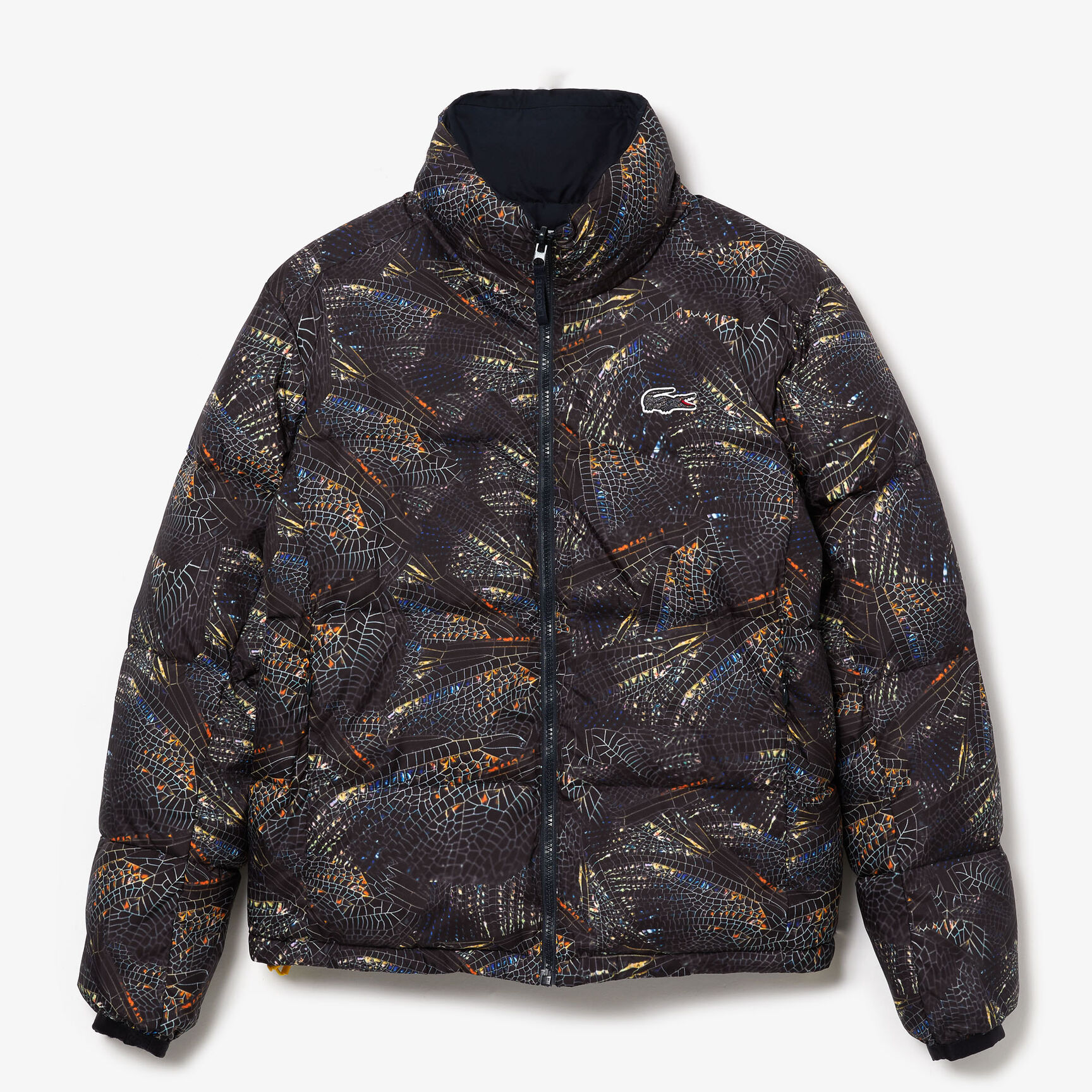 جاكيت مبطن مع طبعات من مجموعة National Geographic للنساء جاكيت مبطن مع طبعات من مجموعة National Geographic للنساء