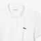 Regular Fit Petit Pique Polo Shirt - PF9661-00-001