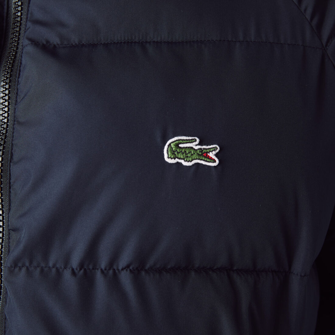 Men’s Lacoste x National Geographic Reversible Quilted Zip Jacket Men’s Lacoste x National Geographic Reversible Quilted Zip Jacket