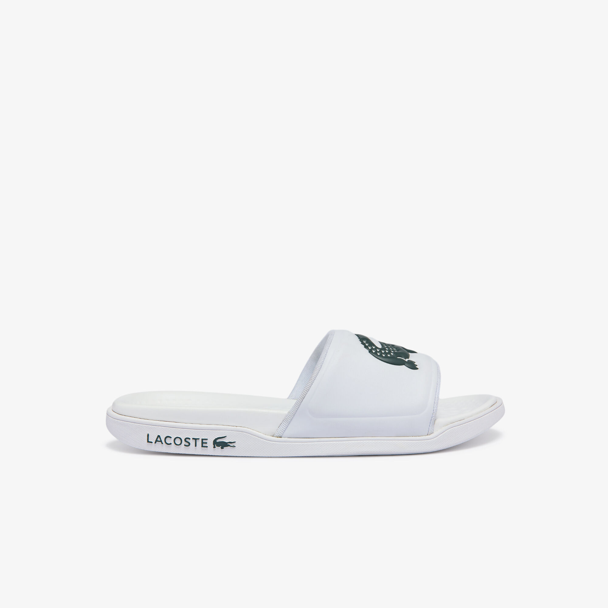 lacoste sliders for men