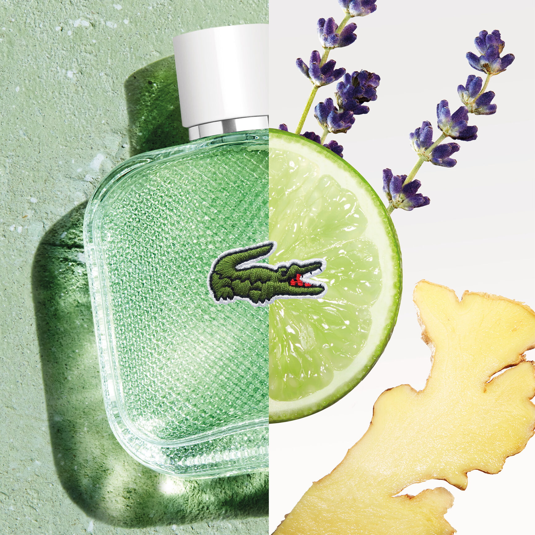 L1212 Blanc Eau Fraiche Edt 100ml - LC003A01-000