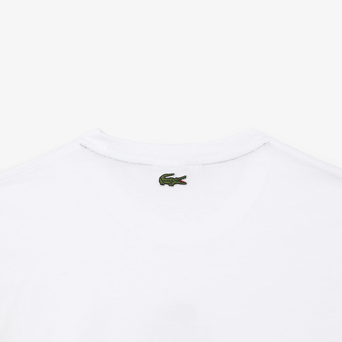 Regular Fit Cotton Jersey Branded T-shirt Regular Fit Cotton Jersey Branded T-shirt - TH1147-00-001