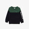 Kids' Colourblock Sweatshirt in Organic Cotton Fleece - SJ5288-00-KZI