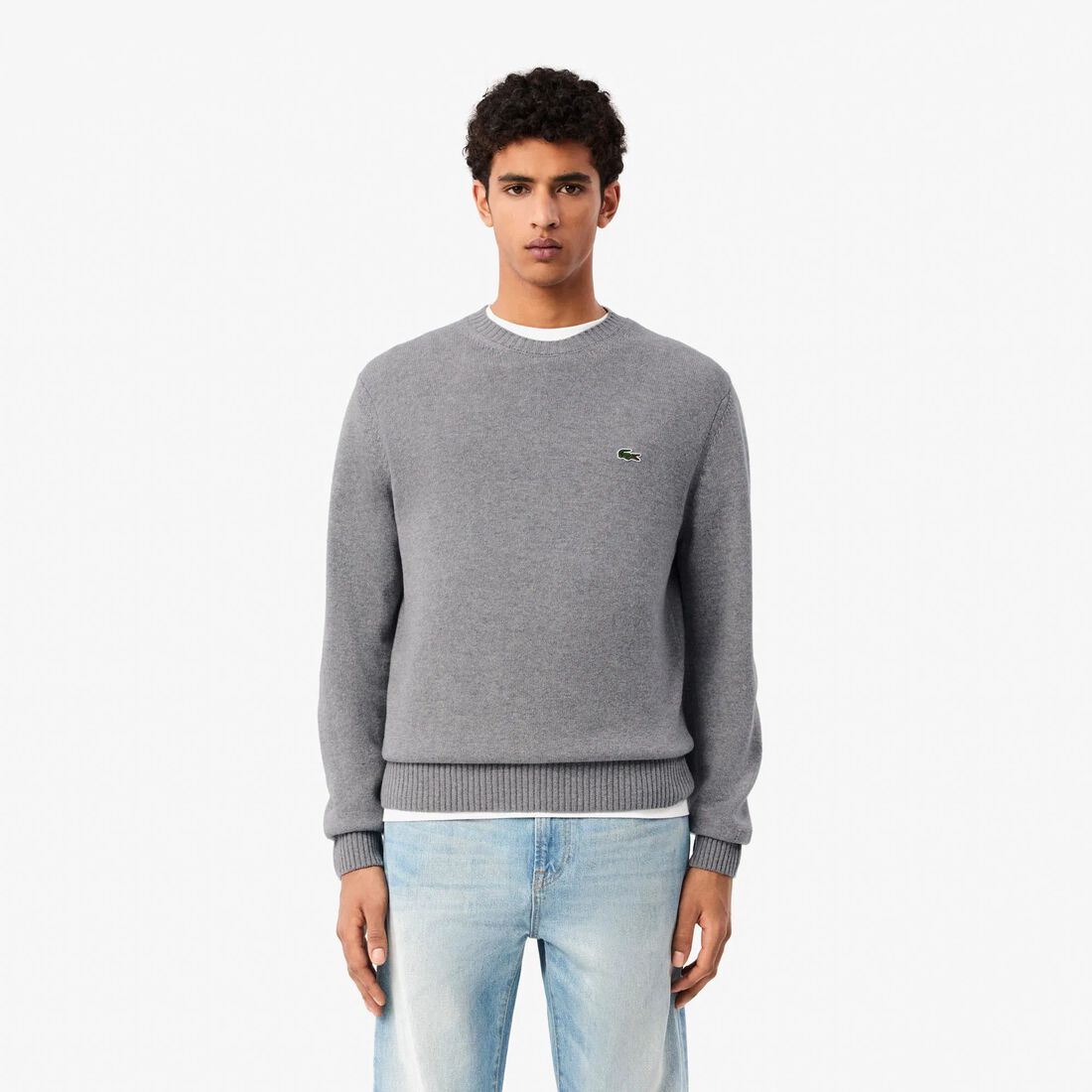 Wool Crew Neck Sweater - AH2916-00-CCA