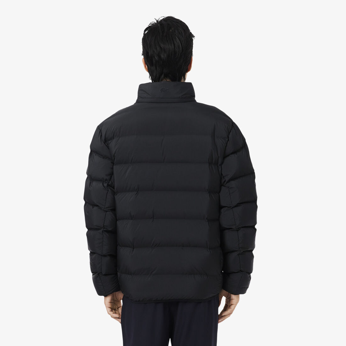 lacoste water repellent down commuter jacket