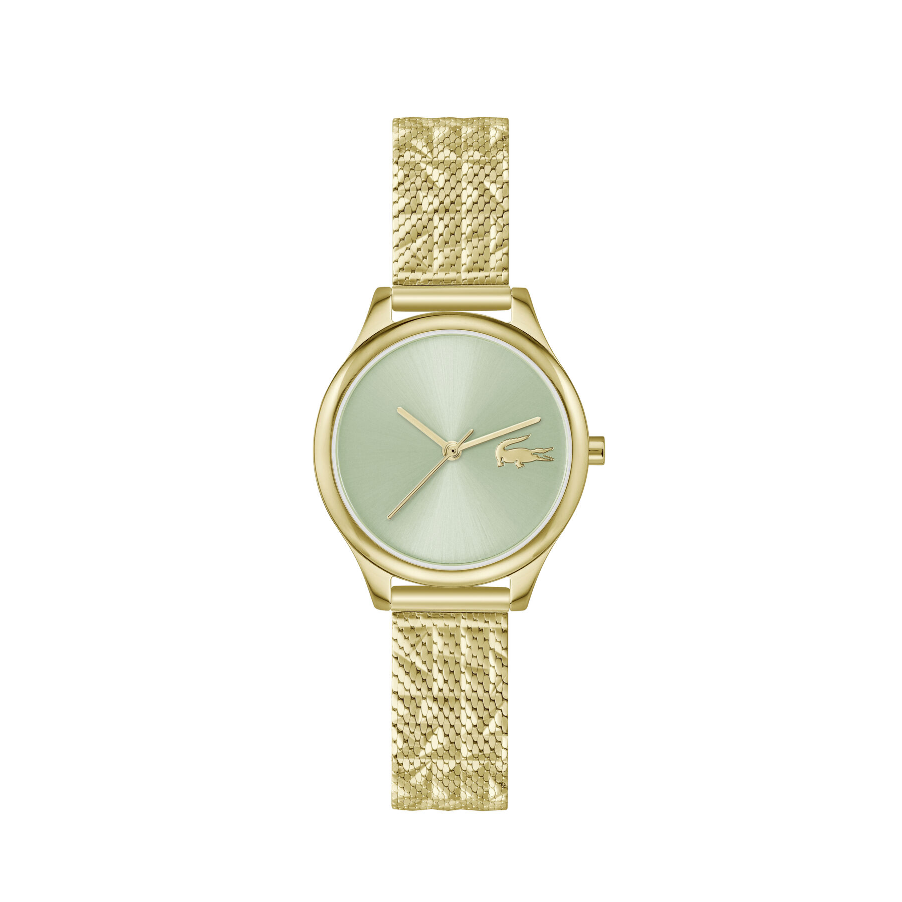 Thin Gold-Plated Steel Women's Watch - 2001502-GOLD