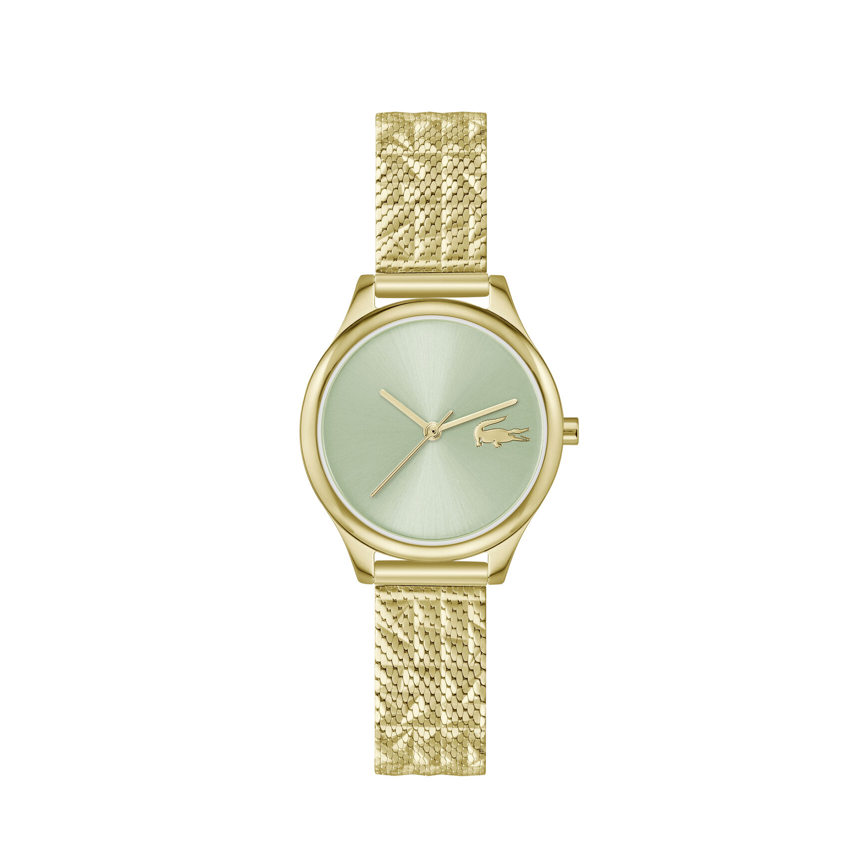 ساعة ستيل مطلية بالذهب بتصميم نحيف للسيدات Thin Gold-Plated Steel Women's Watch - 2001502-GOLD