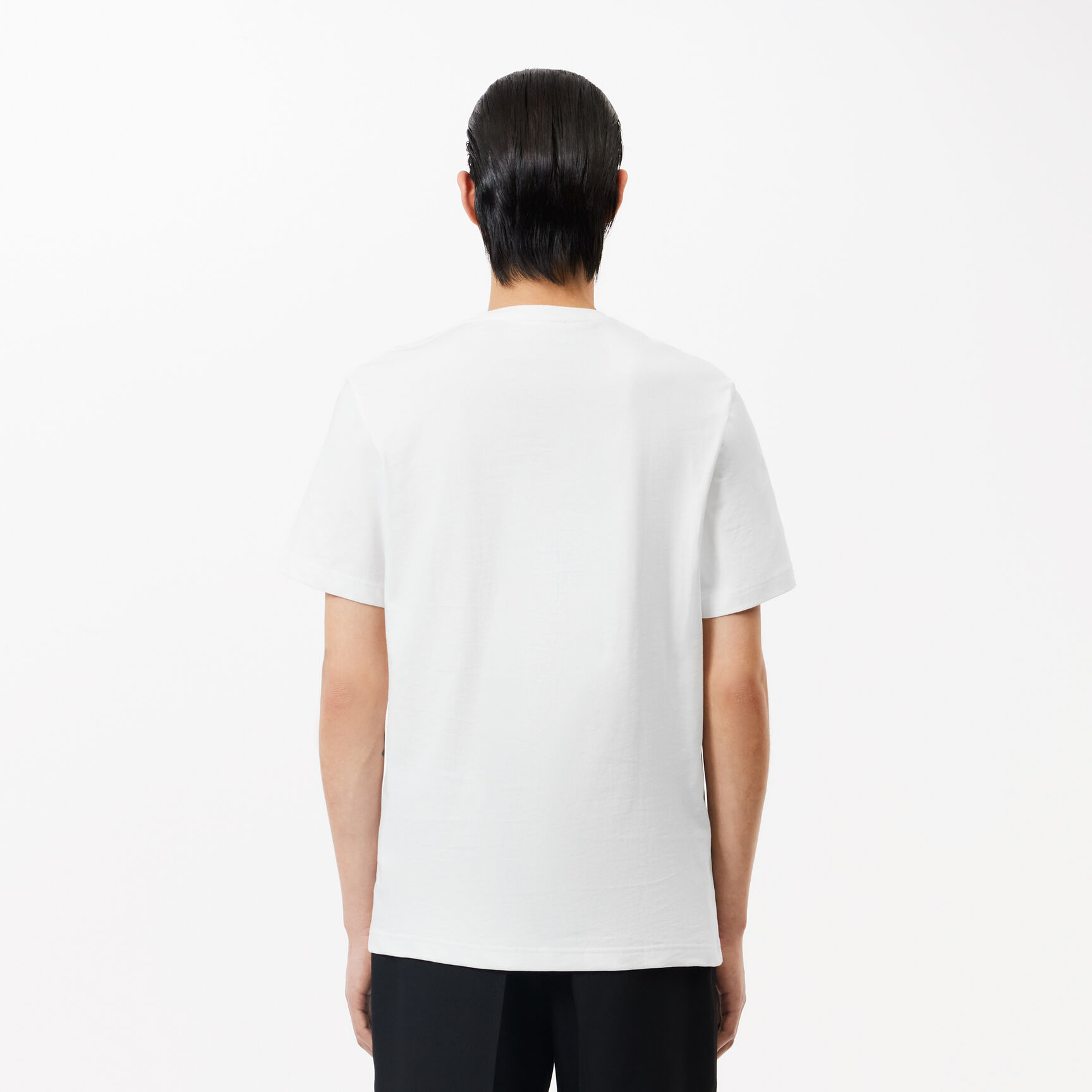 تي شيرت جيرسيه بقصّة عادية مقسم بألوان Cotton Jersey Signature Print T-shirt - TH1285-00-001