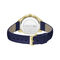 Women Providence Sport Watch - 2001292-BLU