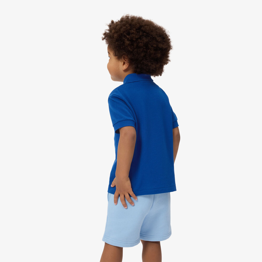 Petit Pique Polo Shirt lacoste petit pique polo shirt